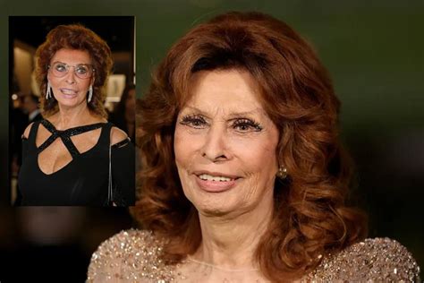 sophia loren net worth|carlo ponti jr net worth.